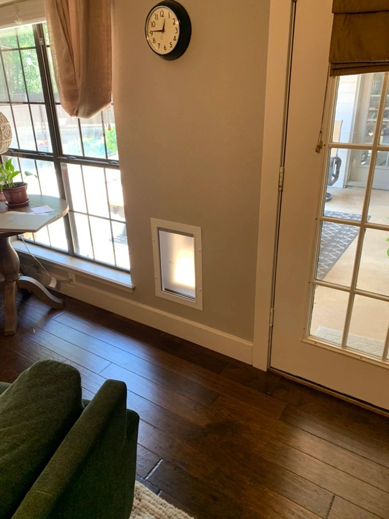 Cat using pet door flap