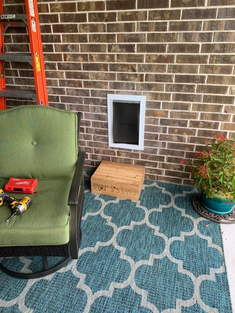 Happy dog in backyard after pet door installation