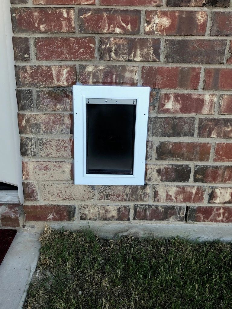 White framed pet door installed in wall