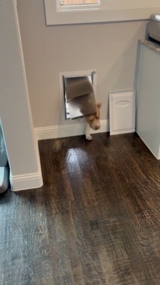 Pet door installation
